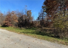 Lot #2 West Mcclain Road, Rostraver Township, 15012, ,Farm-acreage-lot,For Sale,West Mcclain Road,1678704