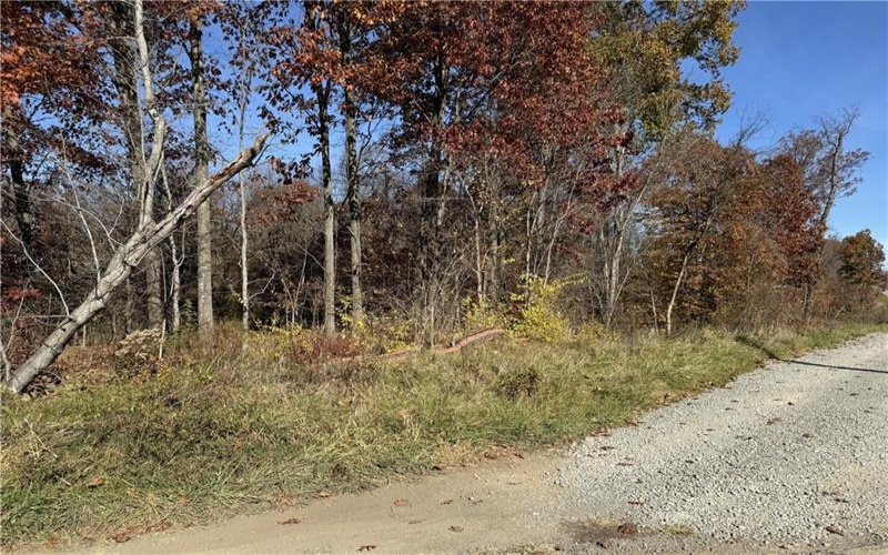 Lot #2 West Mcclain Road, Rostraver Township, 15012, ,Farm-acreage-lot,For Sale,West Mcclain Road,1678704