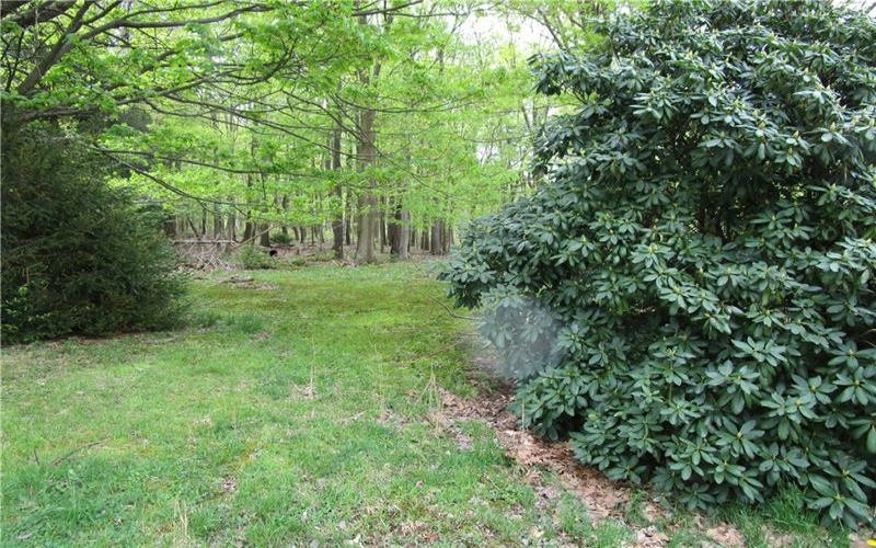 221 Malvina Ln, Latrobe, 15650, ,Farm-acreage-lot,For Sale,None,Malvina Ln,1678747