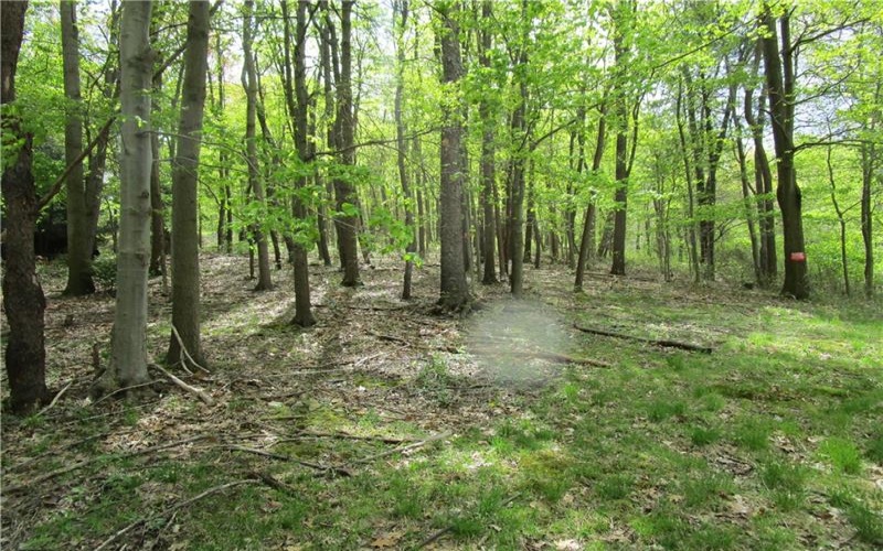 221 Malvina Ln, Latrobe, 15650, ,Farm-acreage-lot,For Sale,None,Malvina Ln,1678747