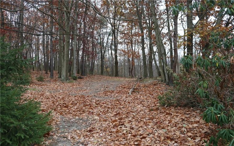 221 Malvina Ln, Latrobe, 15650, ,Farm-acreage-lot,For Sale,None,Malvina Ln,1678747