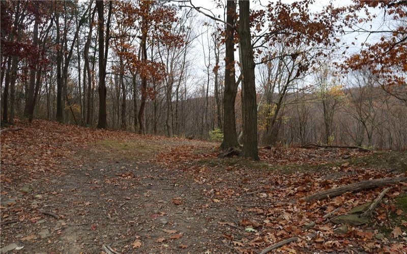 221 Malvina Ln, Latrobe, 15650, ,Farm-acreage-lot,For Sale,None,Malvina Ln,1678747
