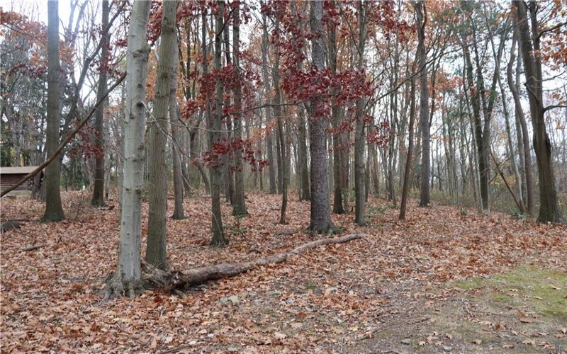 221 Malvina Ln, Latrobe, 15650, ,Farm-acreage-lot,For Sale,None,Malvina Ln,1678747