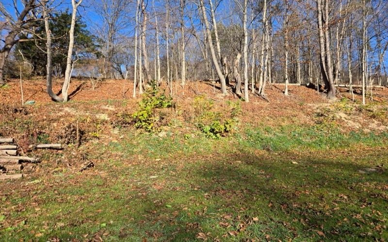 0 Oakford Park Road, Jeannette, 15644, ,Farm-acreage-lot,For Sale,none,Oakford Park Road,1679293