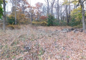 235 Maple Lane, Hopwood, 15445, ,Farm-acreage-lot,For Sale,None,Maple Lane,1679425