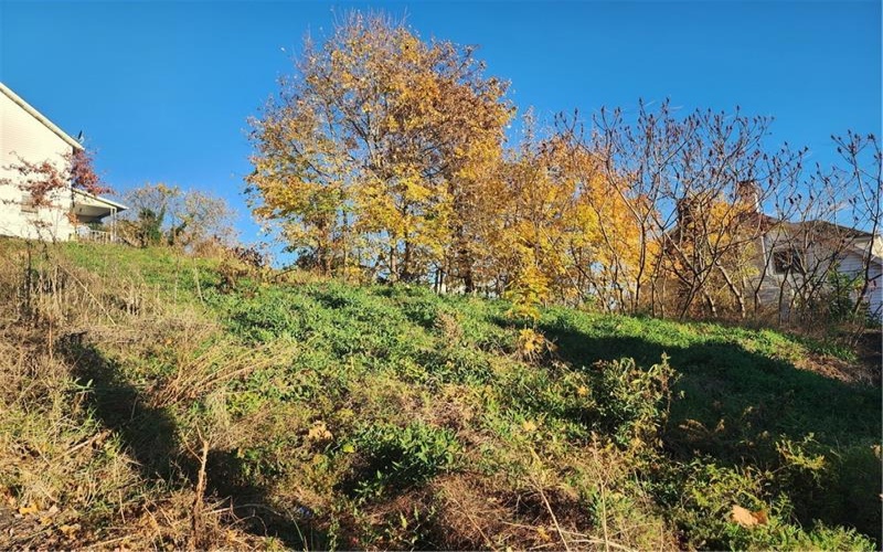 902 WALLACE AVENUE, Vandergrift, 15690, ,Farm-acreage-lot,For Sale,NONE,WALLACE AVENUE,1679526