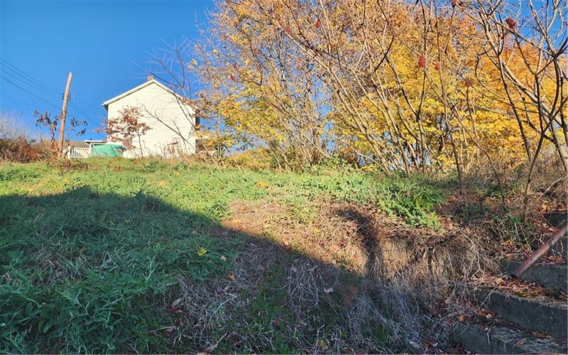 902 WALLACE AVENUE, Vandergrift, 15690, ,Farm-acreage-lot,For Sale,NONE,WALLACE AVENUE,1679526