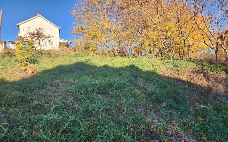 902 WALLACE AVENUE, Vandergrift, 15690, ,Farm-acreage-lot,For Sale,NONE,WALLACE AVENUE,1679526