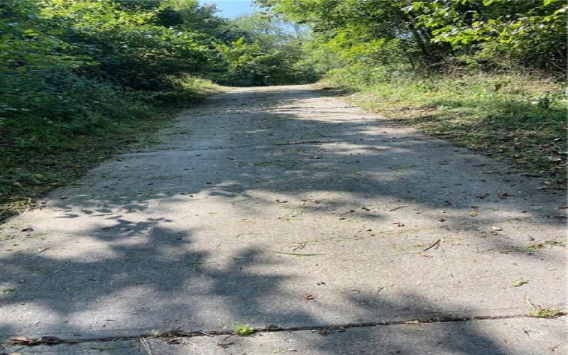 80 84 Wilson Avenue, Cecil, 15321, ,Farm-acreage-lot,For Sale,Wilson Avenue,1679648