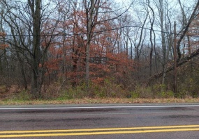00 Route 217, Derry, 15627, ,Farm-acreage-lot,For Sale,Route 217,1680060