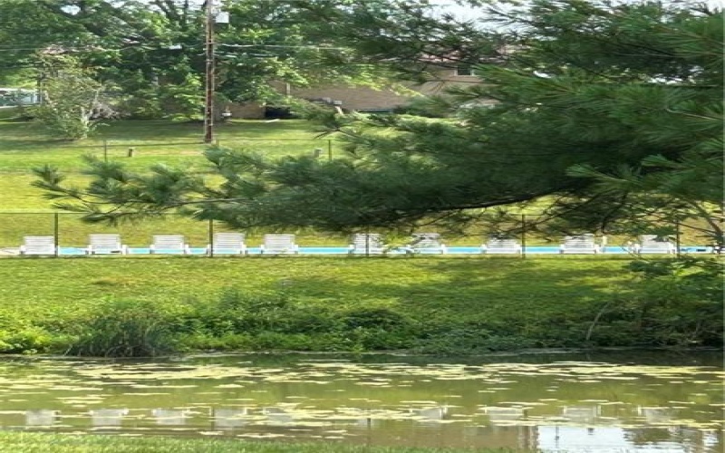 0 Sassafra, 15301, 15301, ,Farm-acreage-lot,For Sale,Sassafra,1680614