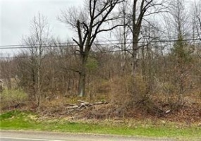 718 Route 356, Apollo, 15613, ,Farm-acreage-lot,For Sale,Route 356,1680620