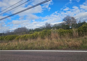 RT 130, 15650, 15650, ,Farm-acreage-lot,For Sale,None,130,1680729