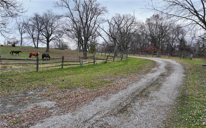 846 Ada Ln, Greensburg, 15601, ,0.1 BathroomBathrooms,Farm-acreage-lot,For Sale,Stable,Ada Ln,1680932