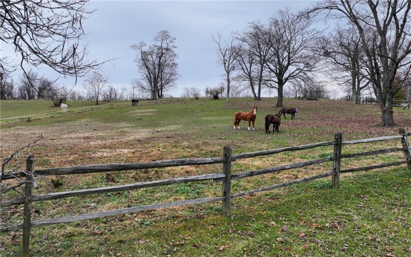 846 Ada Ln, Greensburg, 15601, ,0.1 BathroomBathrooms,Farm-acreage-lot,For Sale,Stable,Ada Ln,1680932