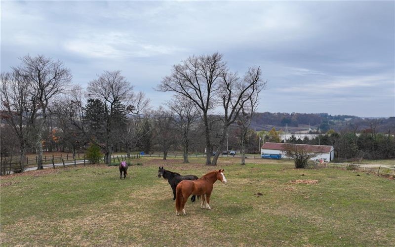 846 Ada Ln, Greensburg, 15601, ,0.1 BathroomBathrooms,Farm-acreage-lot,For Sale,Stable,Ada Ln,1680932