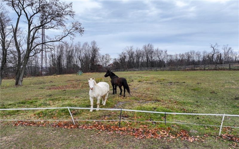846 Ada Ln, Greensburg, 15601, ,0.1 BathroomBathrooms,Farm-acreage-lot,For Sale,Stable,Ada Ln,1680932