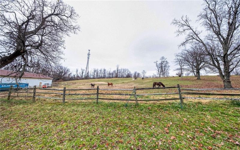 846 Ada Ln, Greensburg, 15601, ,0.1 BathroomBathrooms,Farm-acreage-lot,For Sale,Stable,Ada Ln,1680932