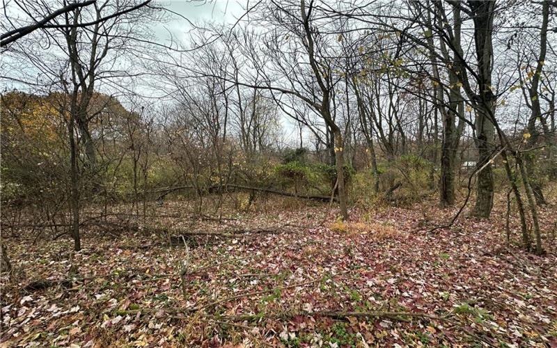 147 Valley Street, Derry, 15627, 2 Bedrooms Bedrooms, ,Farm-acreage-lot,For Sale,Valley Street,1681171