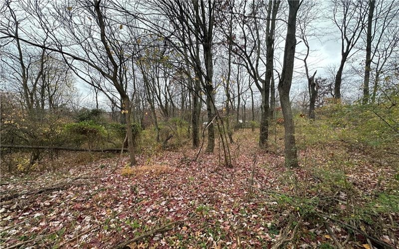 147 Valley Street, Derry, 15627, 2 Bedrooms Bedrooms, ,Farm-acreage-lot,For Sale,Valley Street,1681171