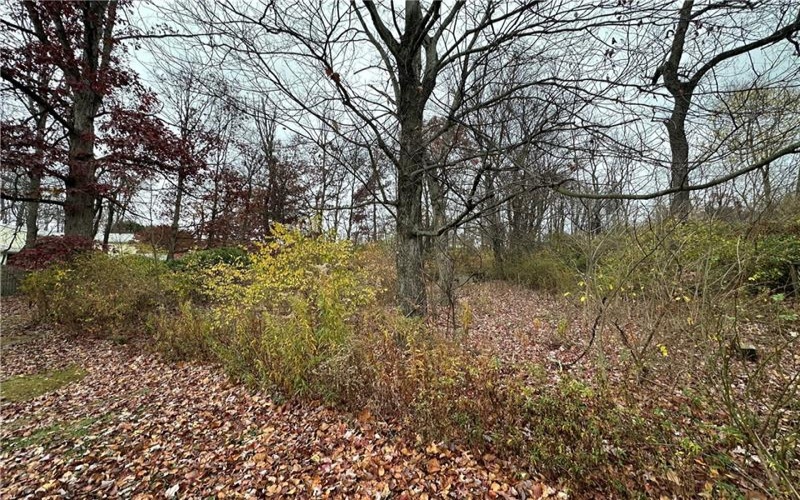 147 Valley Street, Derry, 15627, 2 Bedrooms Bedrooms, ,Farm-acreage-lot,For Sale,Valley Street,1681171