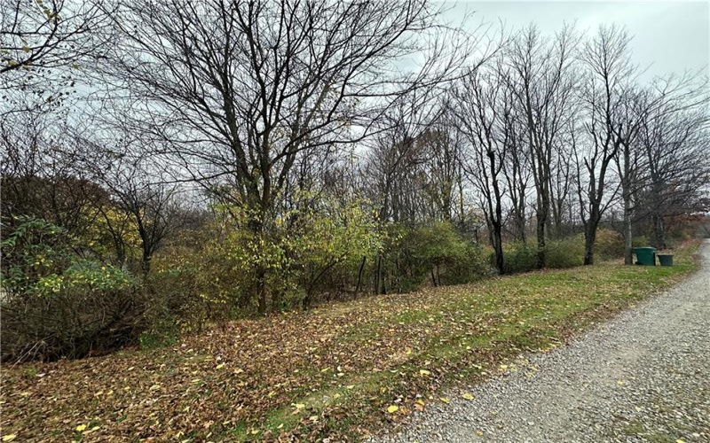 147 Valley Street, Derry, 15627, 2 Bedrooms Bedrooms, ,Farm-acreage-lot,For Sale,Valley Street,1681171