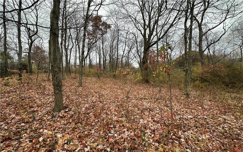 147 Valley Street, Derry, 15627, 2 Bedrooms Bedrooms, ,Farm-acreage-lot,For Sale,Valley Street,1681171