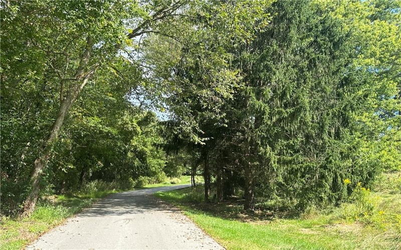 79 3rd Street, Atlasburg, 15021, ,Farm-acreage-lot,For Sale,3rd Street,1681182