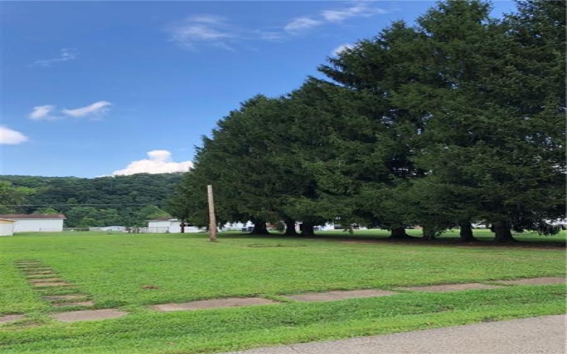 763 Maxwell Avenue, LaBelle, 15450, ,Farm-acreage-lot,For Sale,Maxwell Avenue,1681189