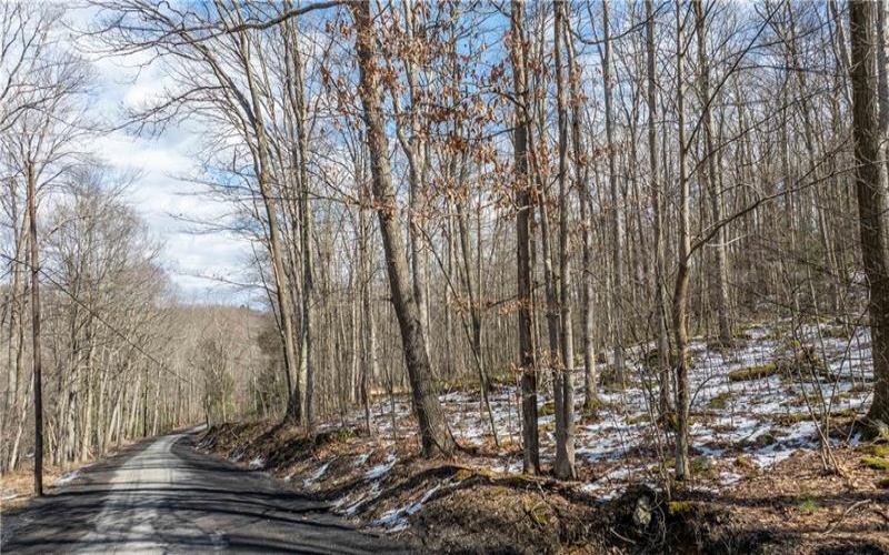 702 Shepherd Rd, Farmington, 15437, ,Farm-acreage-lot,For Sale,Shepherd Rd,1681719