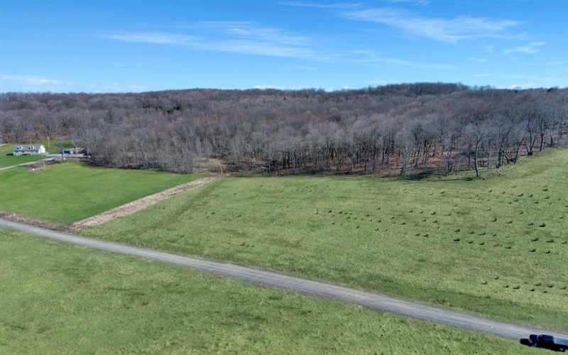 0 Fallen Timber Rd, Hooversville, 15936, ,Farm-acreage-lot,For Sale,Fallen Timber Rd,1681743