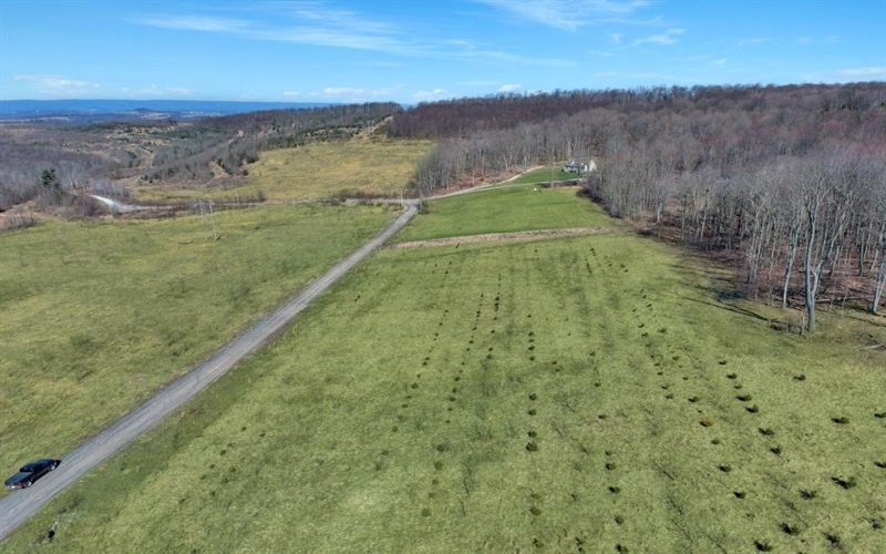 0 Fallen Timber Rd, Hooversville, 15936, ,Farm-acreage-lot,For Sale,Fallen Timber Rd,1681743