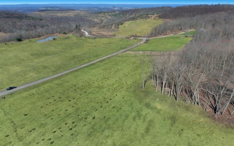 0 Fallen Timber Rd, Hooversville, 15936, ,Farm-acreage-lot,For Sale,Fallen Timber Rd,1681743