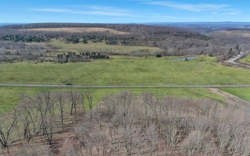 0 Fallen Timber Rd, Hooversville, 15936, ,Farm-acreage-lot,For Sale,Fallen Timber Rd,1681743