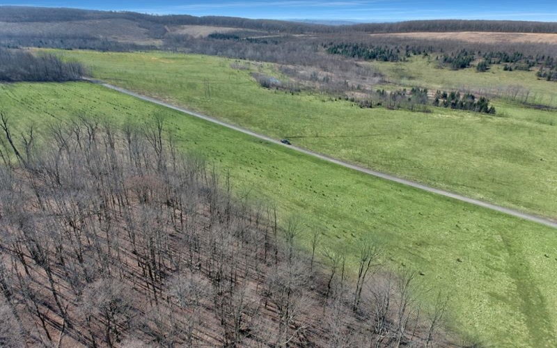 0 Fallen Timber Rd, Hooversville, 15936, ,Farm-acreage-lot,For Sale,Fallen Timber Rd,1681743