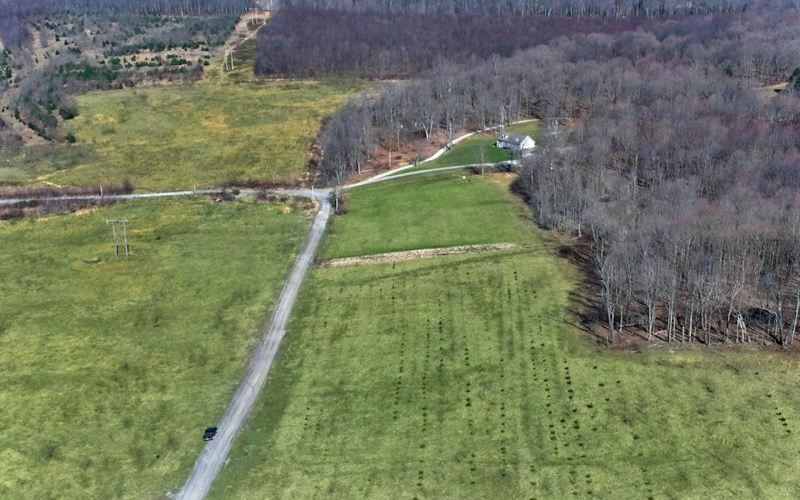 0 Fallen Timber Rd, Hooversville, 15936, ,Farm-acreage-lot,For Sale,Fallen Timber Rd,1681743