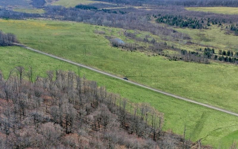 0 Fallen Timber Rd, Hooversville, 15936, ,Farm-acreage-lot,For Sale,Fallen Timber Rd,1681743