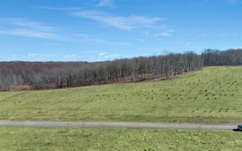 0 Fallen Timber Rd, Hooversville, 15936, ,Farm-acreage-lot,For Sale,Fallen Timber Rd,1681743