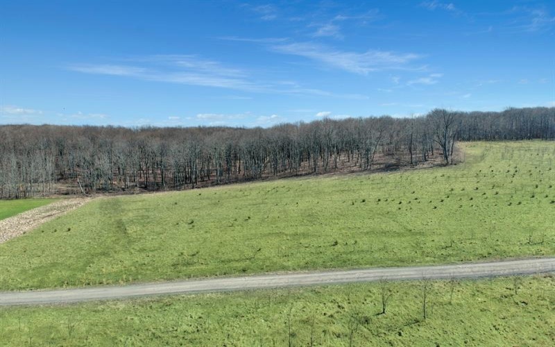 0 Fallen Timber Rd, Hooversville, 15936, ,Farm-acreage-lot,For Sale,Fallen Timber Rd,1681743