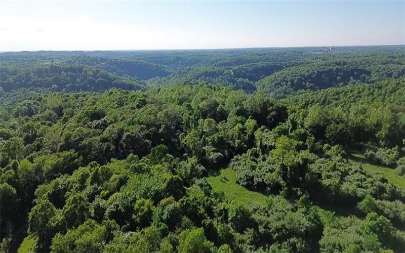 108 Creek Lane Rd, Burgettstown, 15021, ,Farm-acreage-lot,For Sale,Creek Lane Rd,1681826