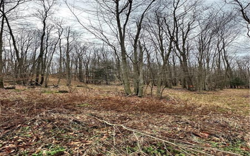 C4 S Peninsula Dr, Central City, 15926, ,Farm-acreage-lot,For Sale,S Peninsula Dr,1682214