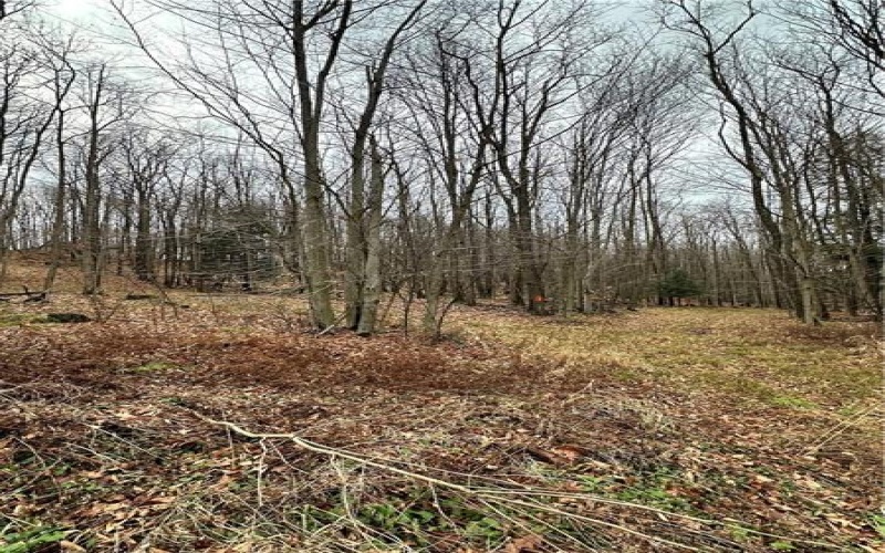 C4 S Peninsula Dr, Central City, 15926, ,Farm-acreage-lot,For Sale,S Peninsula Dr,1682214