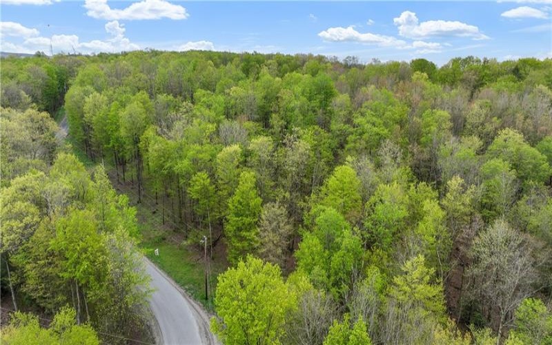 C4 S Peninsula Dr, Central City, 15926, ,Farm-acreage-lot,For Sale,S Peninsula Dr,1682214