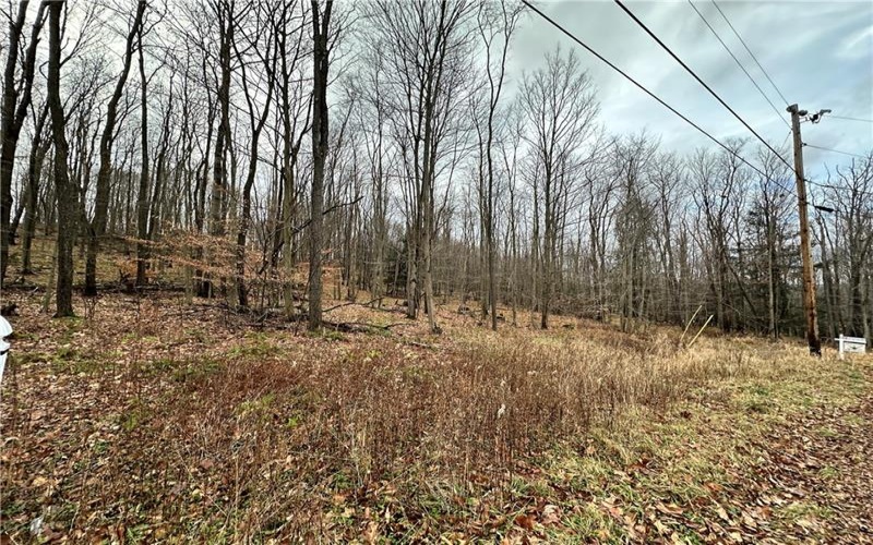 C4 S Peninsula Dr, Central City, 15926, ,Farm-acreage-lot,For Sale,S Peninsula Dr,1682214