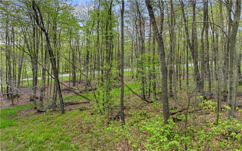 C5 S Peninsula Drive, Central City, 15926, ,Farm-acreage-lot,For Sale,S Peninsula Drive,1682219