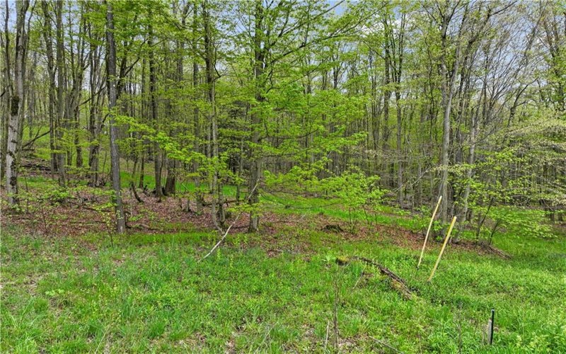 C5 S Peninsula Drive, Central City, 15926, ,Farm-acreage-lot,For Sale,S Peninsula Drive,1682219