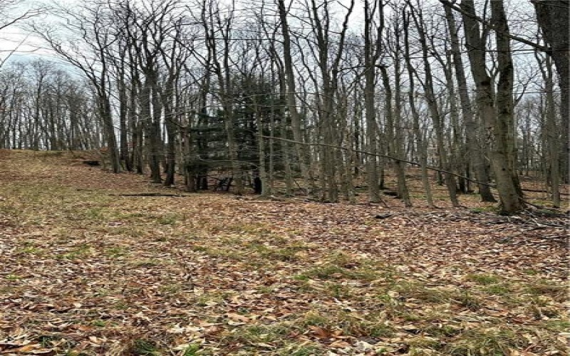 C5 S Peninsula Drive, Central City, 15926, ,Farm-acreage-lot,For Sale,S Peninsula Drive,1682219