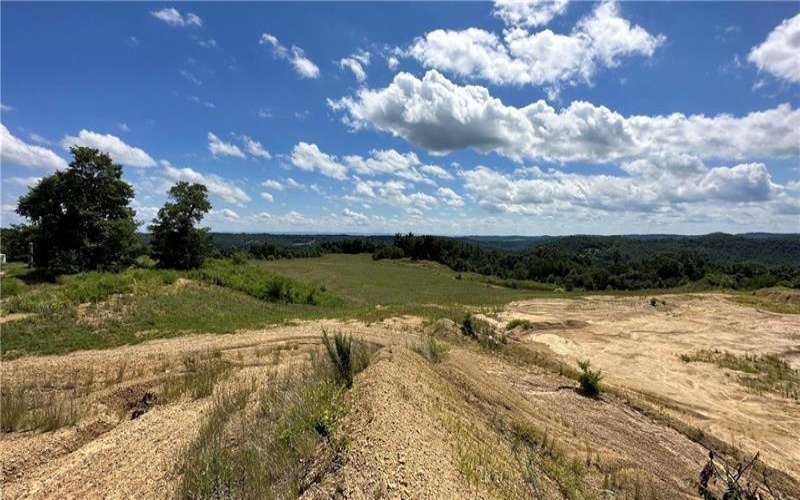 0 Black Dog Hollow, East Bethlehem, 15322, ,Farm-acreage-lot,For Sale,Black Dog Hollow,1683040