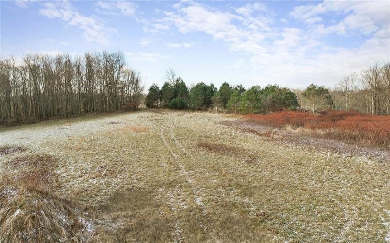 TBD Pittsburgh Street, Derry, 15627, ,Farm-acreage-lot,For Sale,Pittsburgh Street,1683036