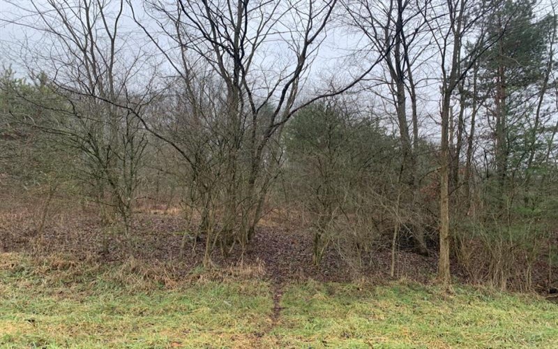 Lot 6 Ringertown Road, Export, 15632, ,Farm-acreage-lot,For Sale,Ringertown Road,1683330